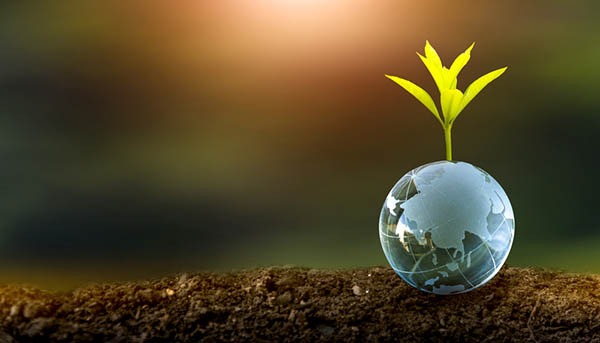 Ledelse i forandring af strategisk bæredygtighed